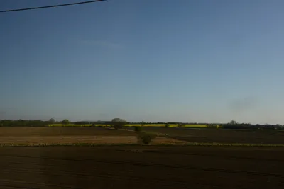 DSC_7181 (Large).JPG